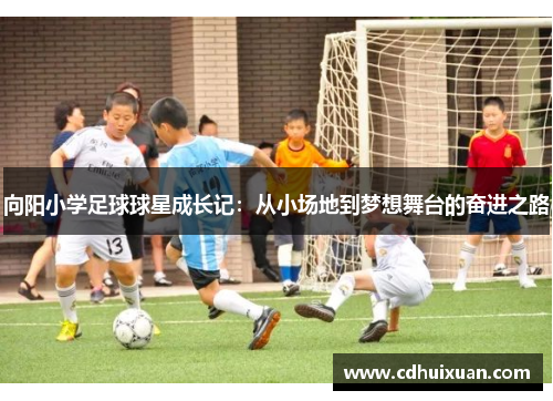 向阳小学足球球星成长记：从小场地到梦想舞台的奋进之路