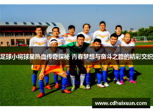 足球小将球星热血传奇探秘 青春梦想与奋斗之路的精彩交织