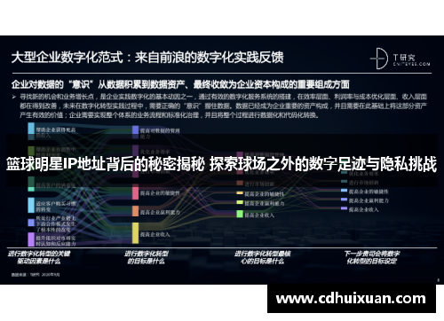 篮球明星IP地址背后的秘密揭秘 探索球场之外的数字足迹与隐私挑战